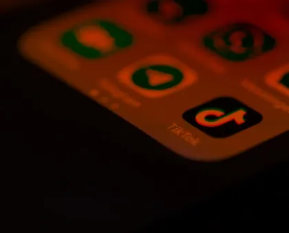 Tiktok app on phone homepage